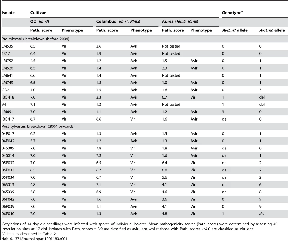Pathogenicity of Australian isolates of <i>Leptosphaeria maculans</i> on cotyledons of <i>Brassica napus</i> cultivars Q2 and Columbus and <i>B. juncea</i> cv. Aurea.