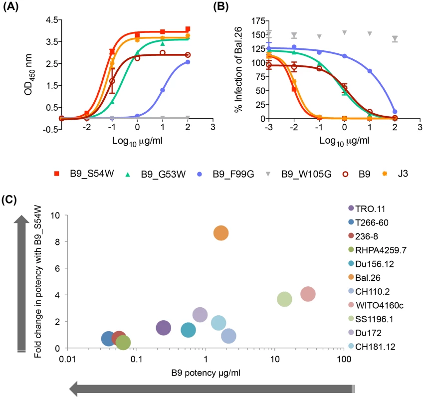 VHH mutation alters affinity, potency and breadth of neutralization.