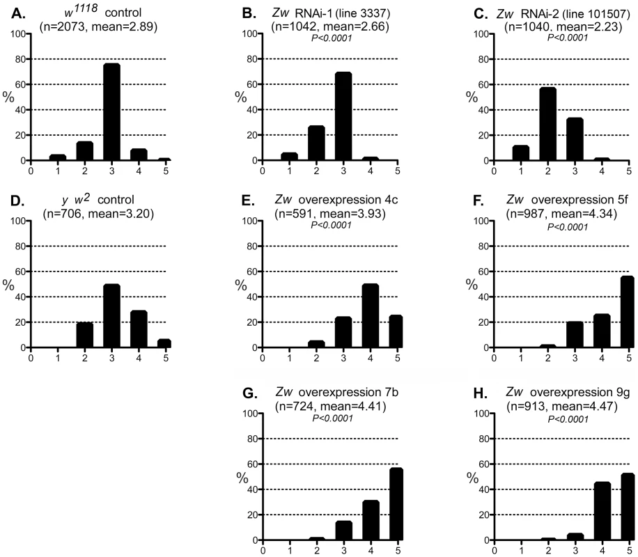 Effect of G6PD variation on the CryAB<sup>R120G</sup> phenotype.