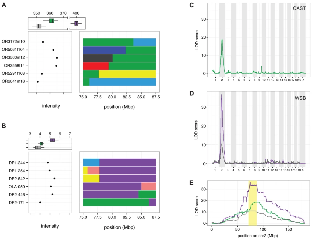 Linkage mapping localizes <i>R2d2</i> to a 900 kb region in Chr 2.