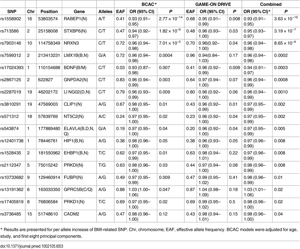 Significant associations detected at <i>p</i> < 0.05 between breast cancer risk and BMI-related SNPs.