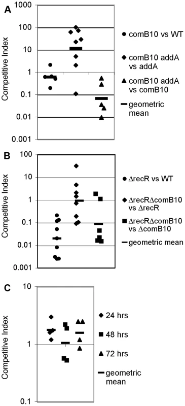 DNA damage responsive genes do not contribute to DNA repair during stomach colonization.