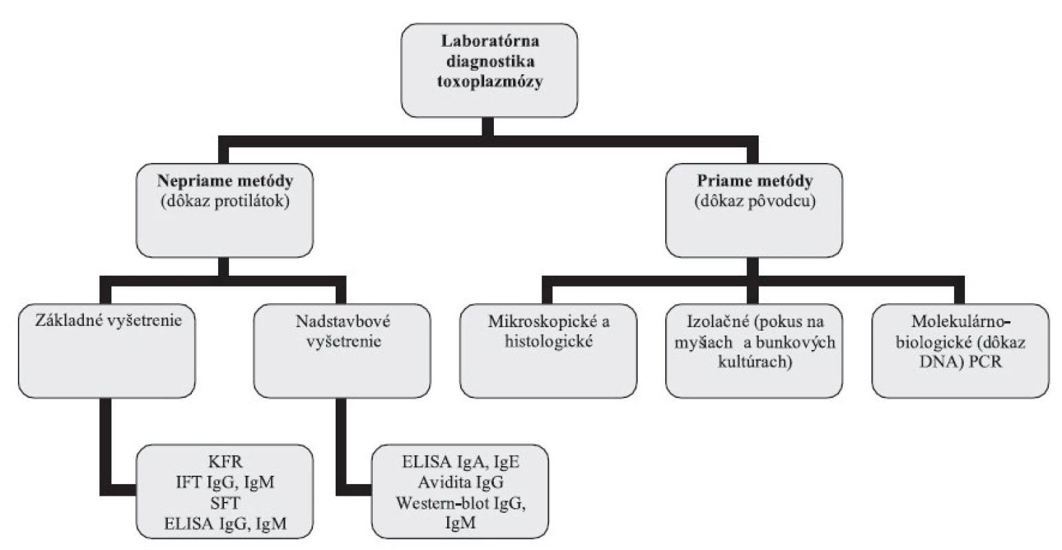 Laboratórna diagnostika toxoplazmózy – schéma vyšetrovacích postupov
Fig. 1. Laboratory diagnosis of toxoplasmosis – scheme of test procedures