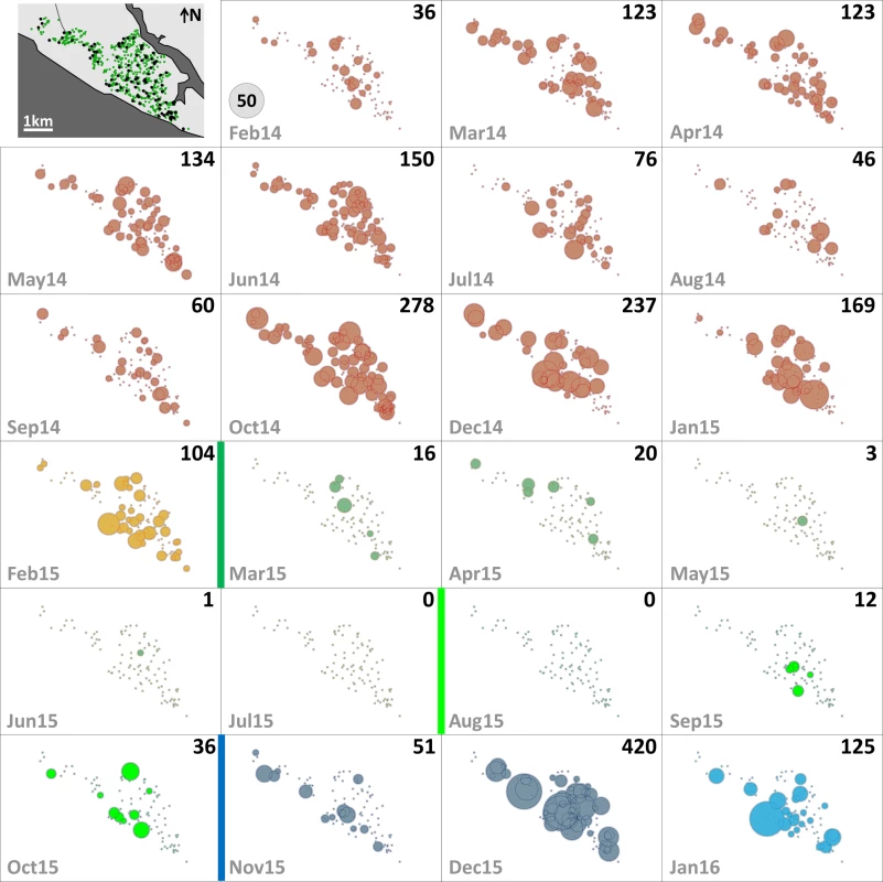 Monthly female <i>Aedes aegypti</i> emergence in each of the 100 surveillance dwellings.