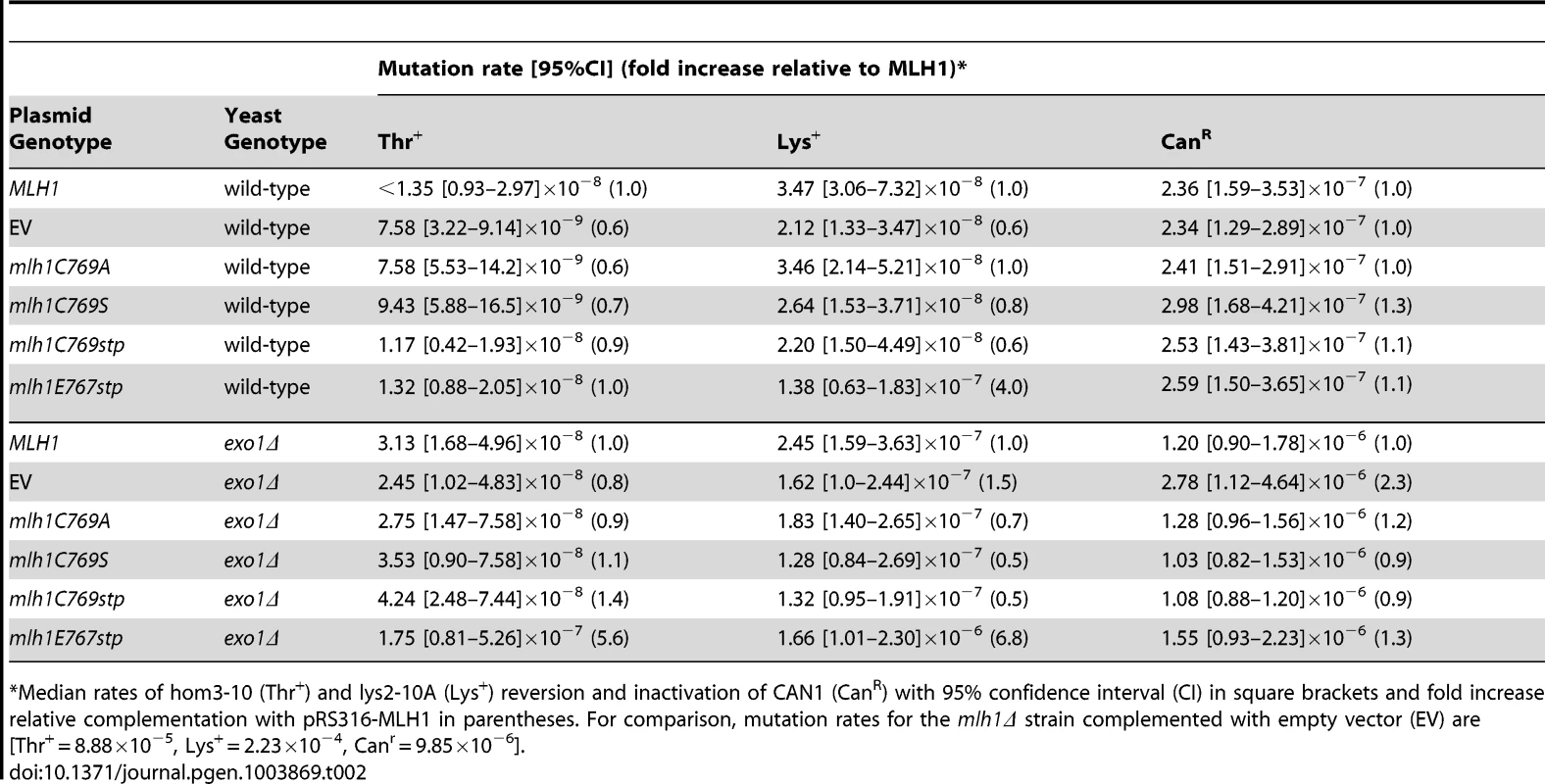 Mutations rates of MLH1-FERC motif mutations on a low-copy plasmid in wild-type and <i>exo1Δ</i> strains.