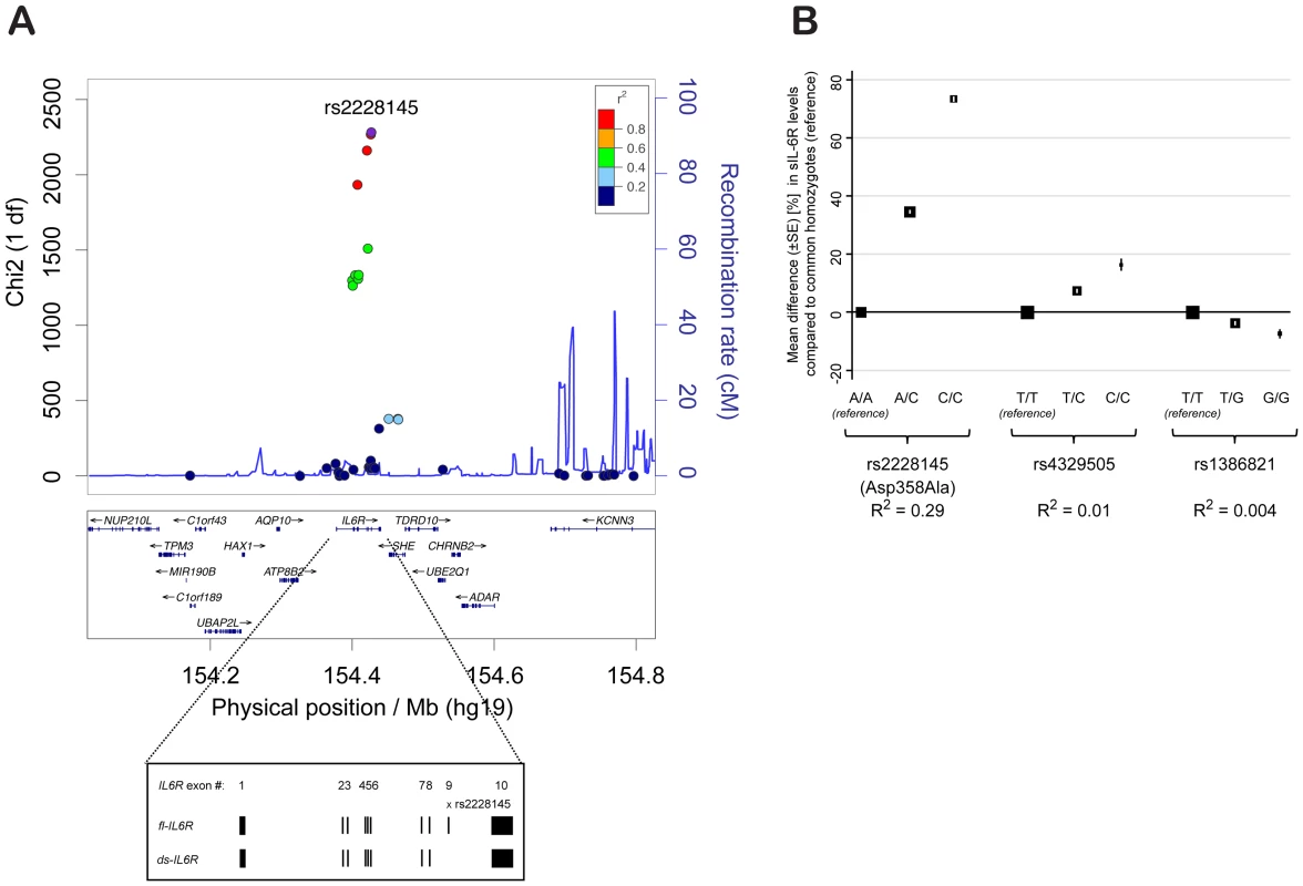 rs2228145 is the major determinant of circulating sIL-6R levels at the <i>IL6R</i> locus.
