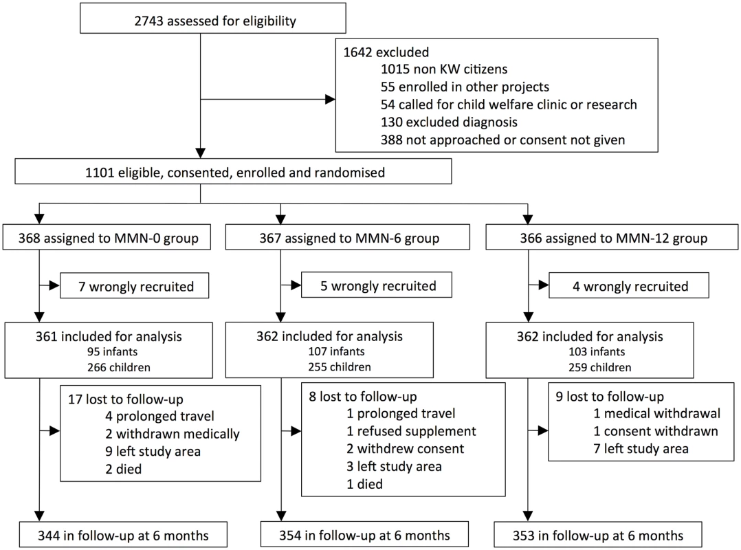 CONSORT flow chart of the trial.