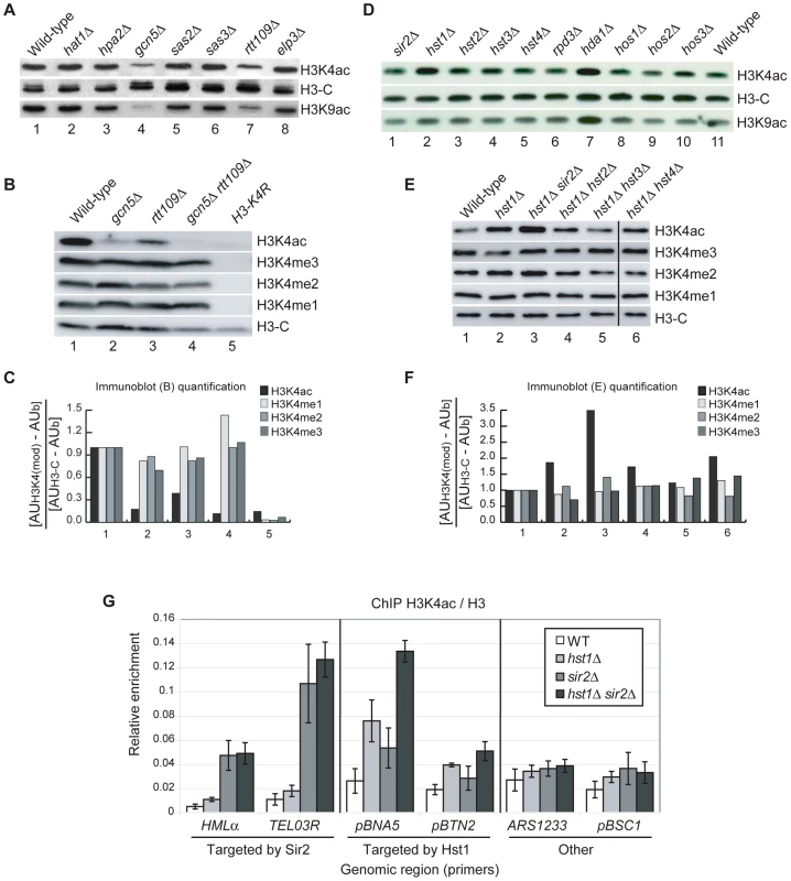 HATs and HDACs That Contribute to H3K4ac <i>In Vivo</i>.