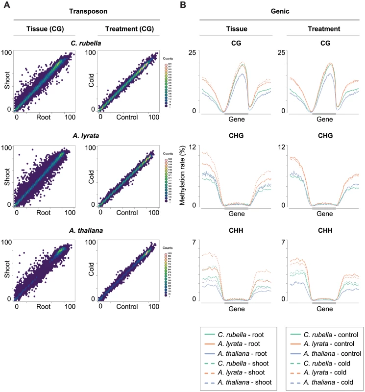 Intraspecific variation of transposon and gene body methylation.
