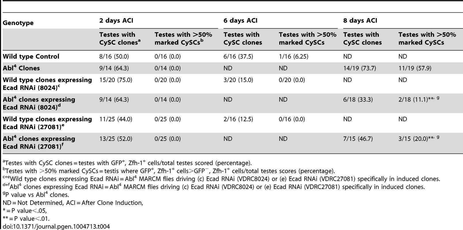 Ecad knockdown prevents Abl<sup>4</sup> mutant CySC clones from outcompeting their neighbors and taking over the niche.