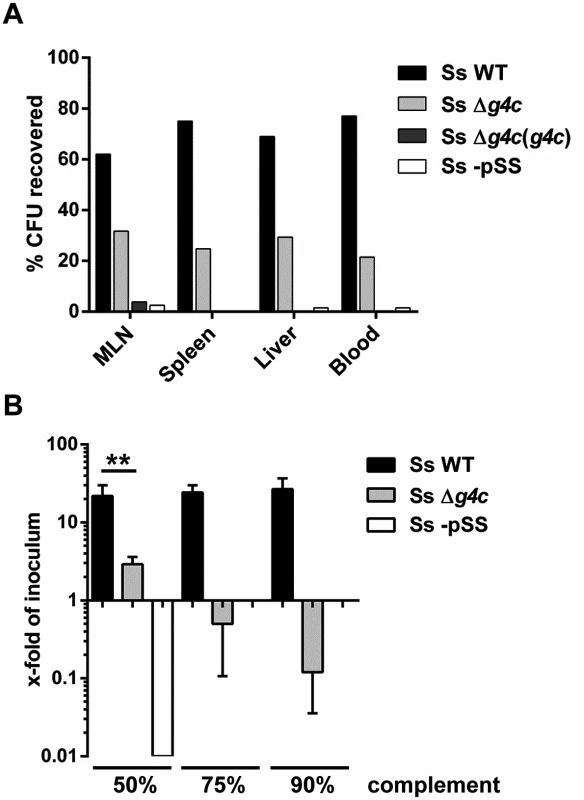 Group 4 capsule affects <i>S</i>. <i>sonnei</i> peripheral spreading and sensitivity to direct complement lysis.