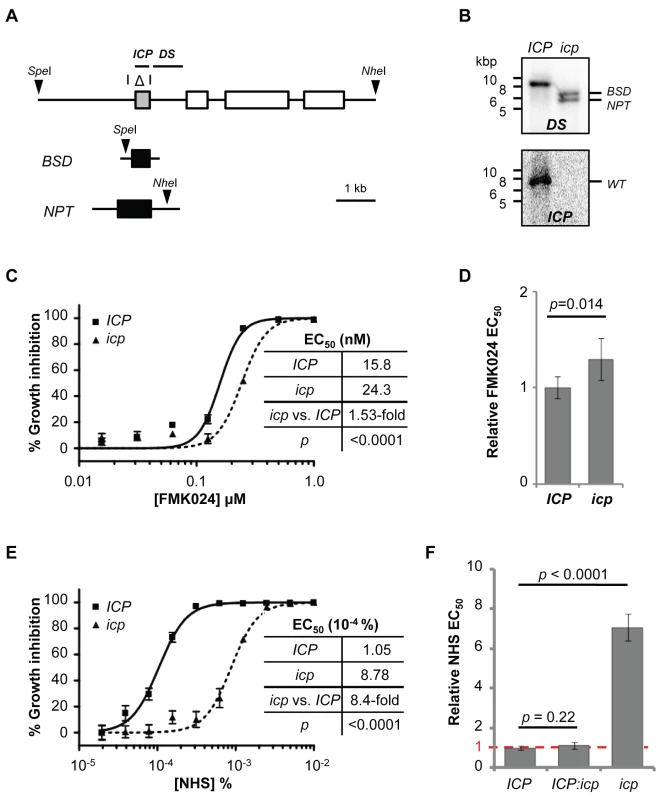 Disruption of <i>ICP</i> in <i>T. b. brucei</i> renders cells less sensitive to NHS.