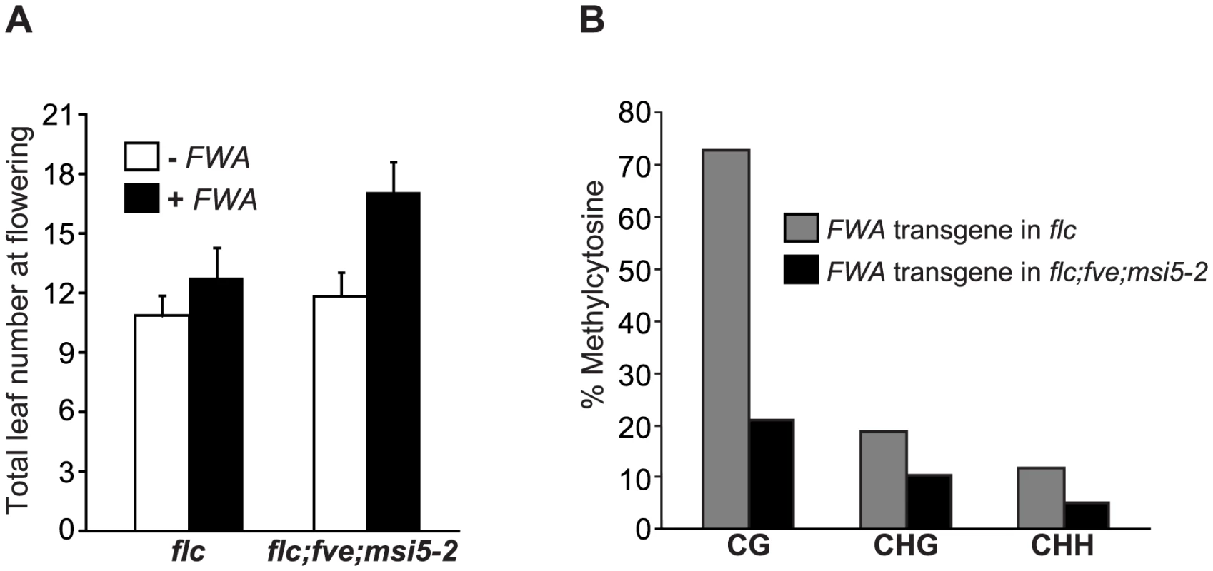 <i>MSI5</i> and <i>FVE</i> Are Required for De Novo Silencing of the <i>FWA</i> Transgene.