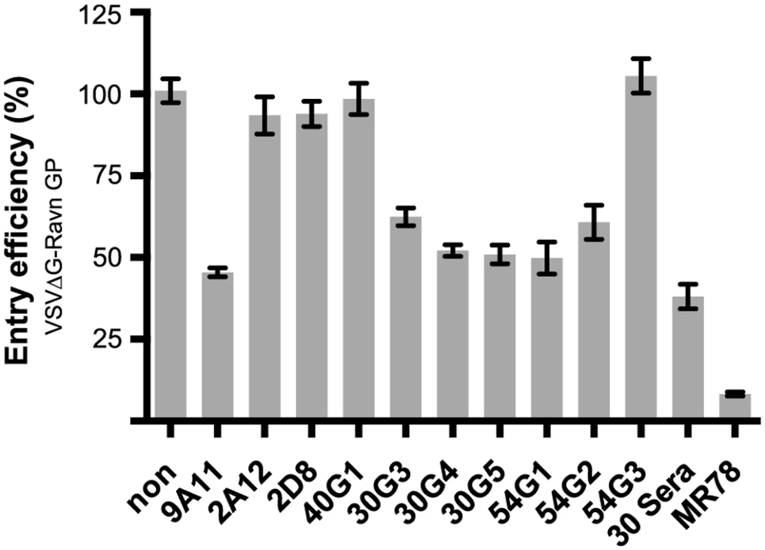 <i>In vitro</i> neutralization activity.
