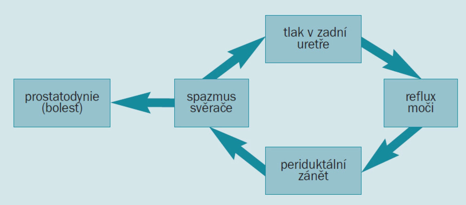 Samospouštěcí sekvence s výsledným bolestivým syndromem.
