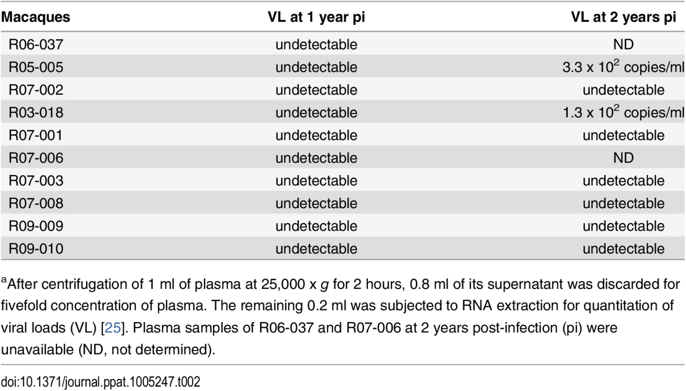 Plasma viral loads determined by using fivefold-concentrated plasma<em class="ref"><sup>a</sup></em>