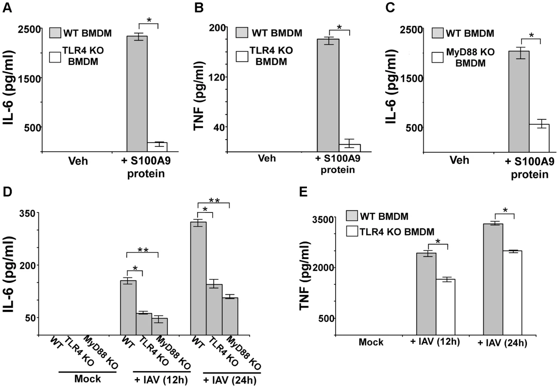 S100A9 activates TLR4/MyD88 pathway and activation of TLR4/MyD88 pathway is essential for IAV-induced pro-inflammatory response.