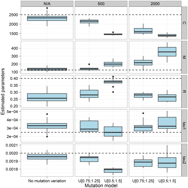 The effect of mutation rate variation.