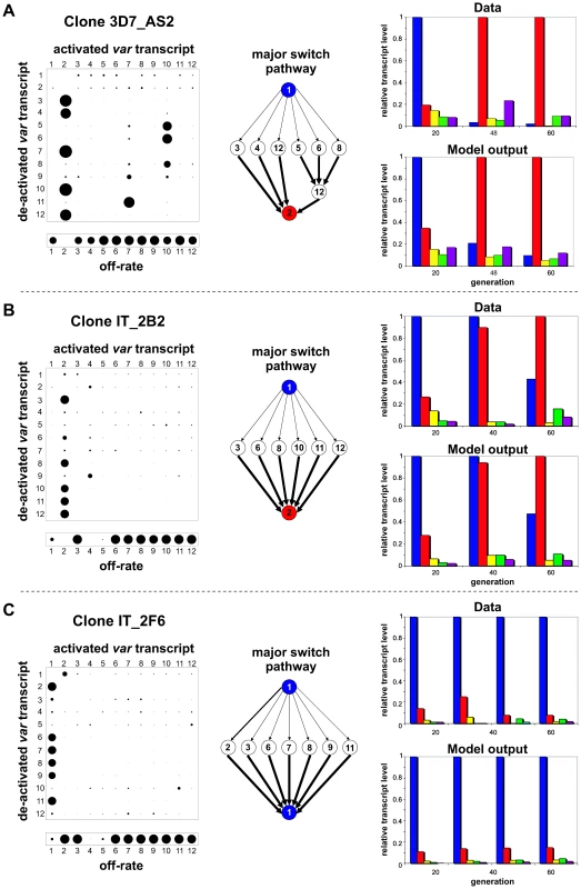 Underlying pathways of <i>var</i> gene switching.