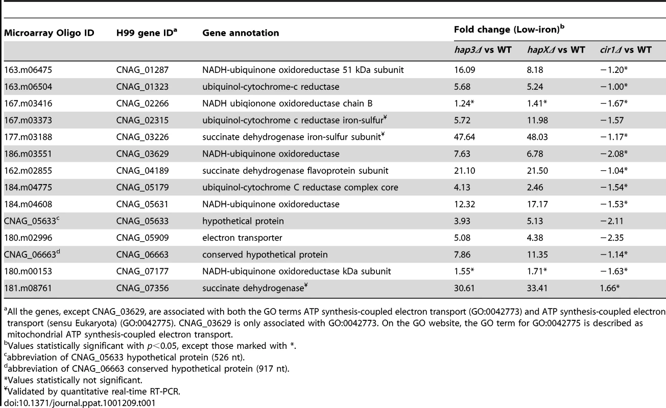 HapX and Hap3 negatively regulate the expression of genes encoding iron-dependent functions.