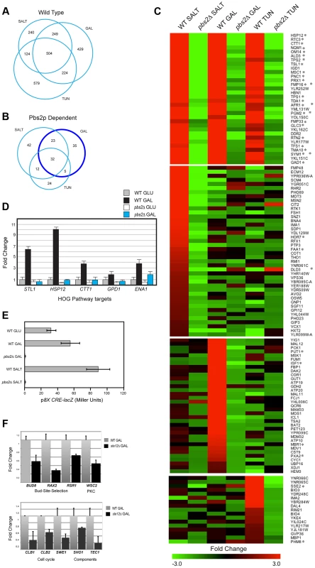Gene expression profiling by RNA seq analysis and qPCR.