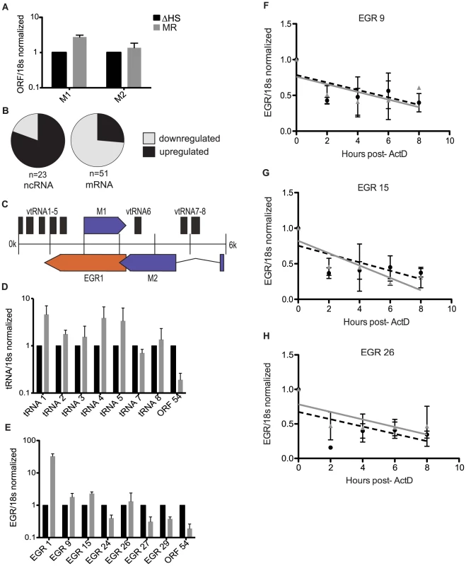 Noncoding RNAs are enriched in the escapee population.