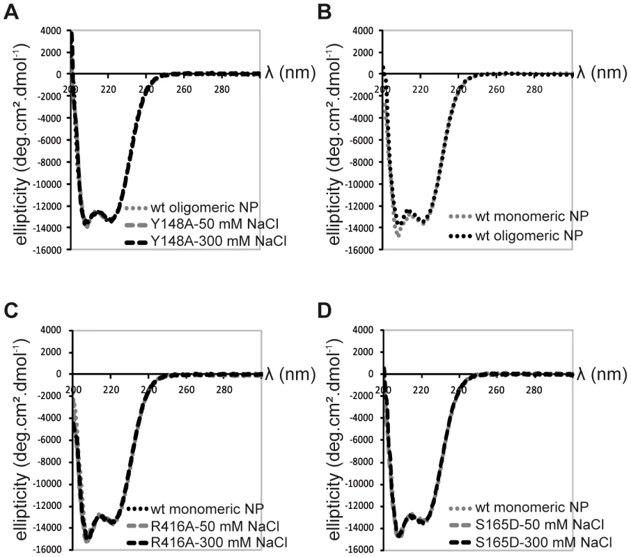 Circular dichroism on NP trimers and monomers.