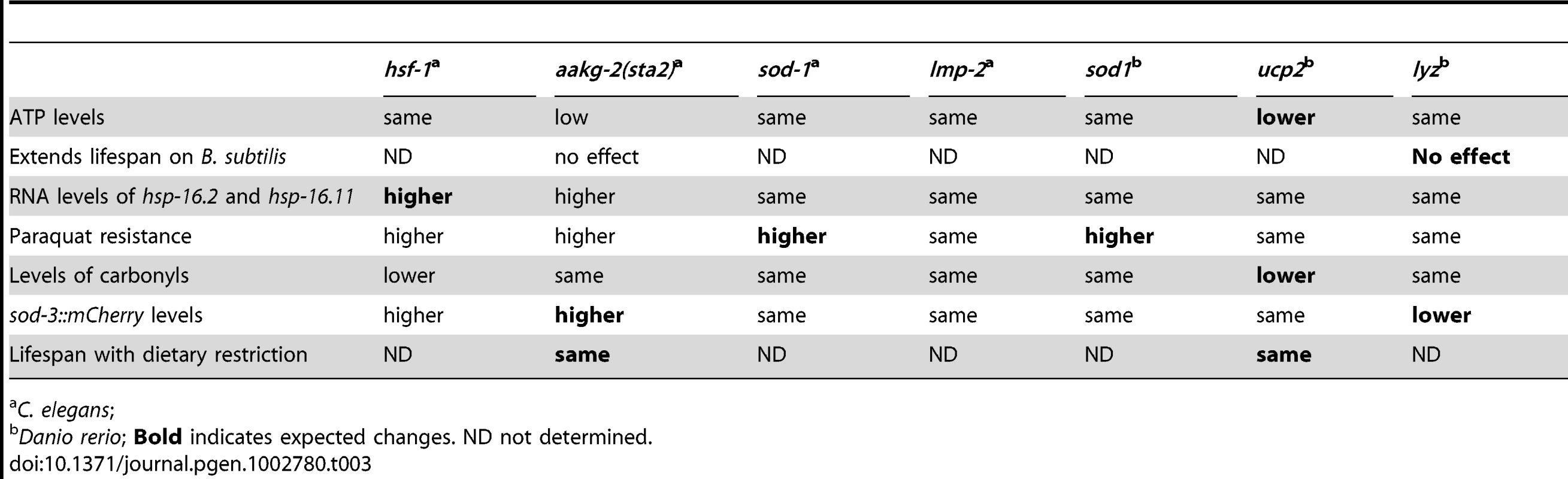 Summary of cell assays.