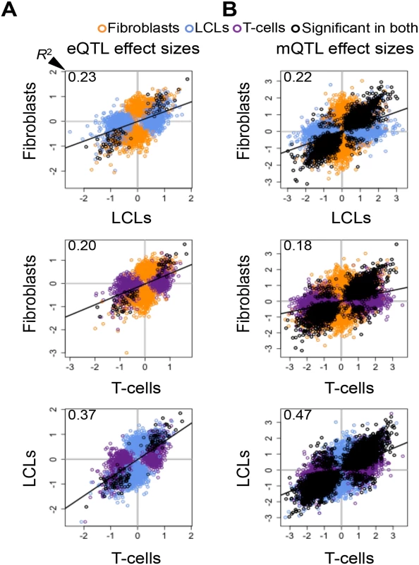 Cell-type specific genetic effects on gene expression and DNA methylation.