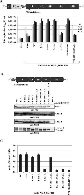 Mutational analysis of the hydrophobic NS3 surface area in the context of a HCV genotype 2a NS3-5B replicon.