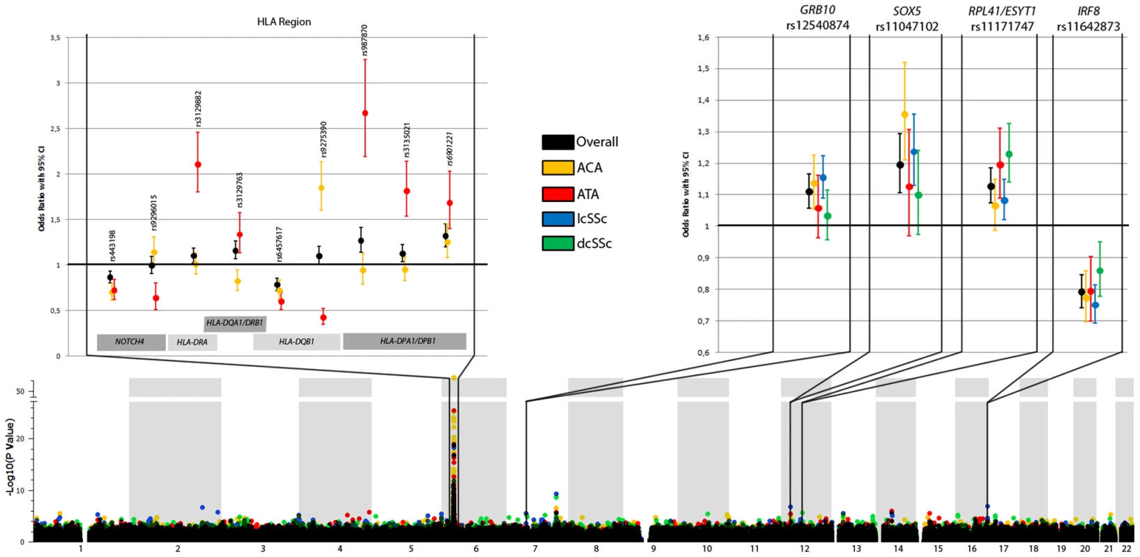 New loci associated with subphenotypes of SSc.