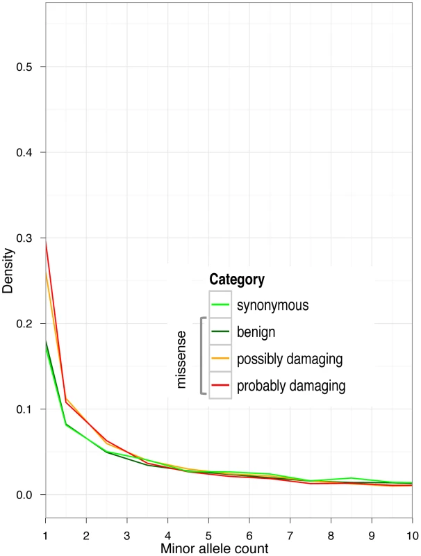Allele frequency spectra in GoNL data, for synonymous alleles and non-synonymous alleles stratified by PolyPhen-2 functional predictions.