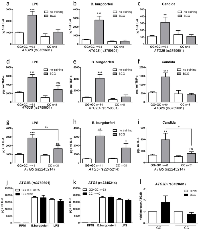 Polymorphisms in <i>ATG2B</i> or <i>ATG5</i> diminish the training capacity of human monocytes.