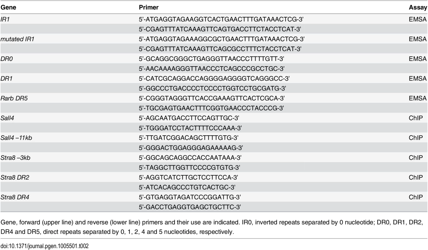 Primers used for ChIP and EMSA assays.