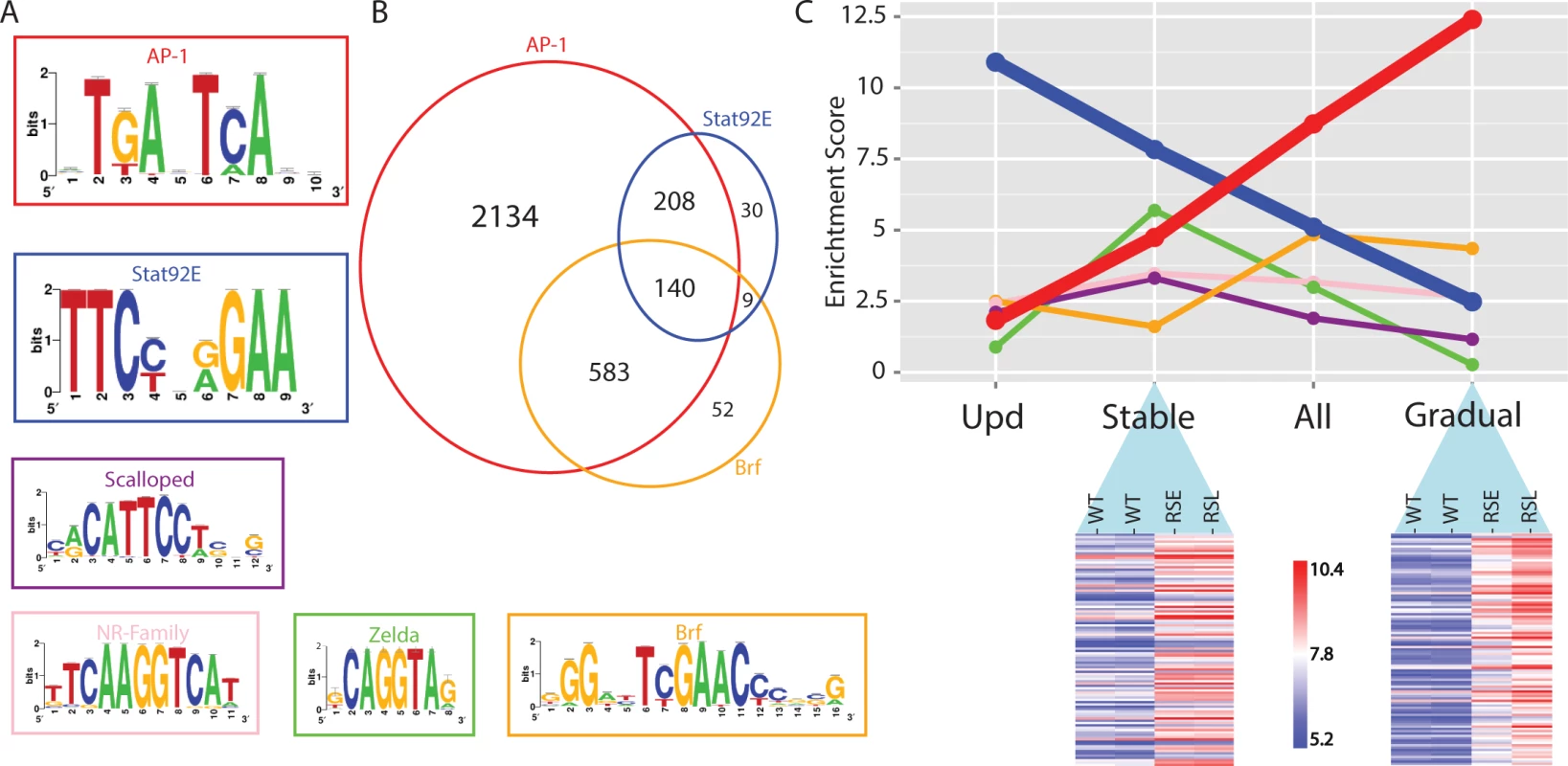 Regulator detection by motif inference.