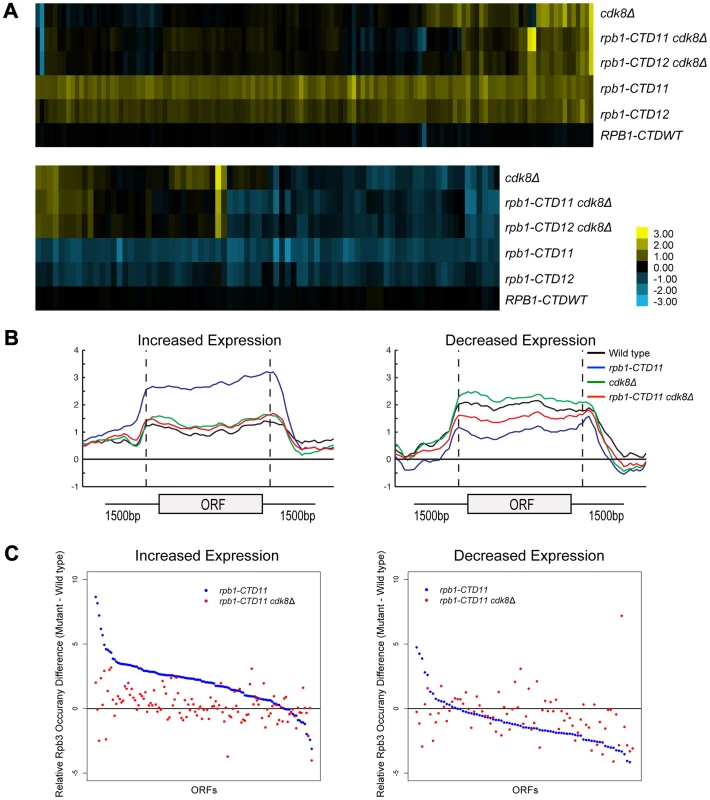 Loss of <i>CDK8</i> normalized <i>rbp1-CTD11</i> transcriptional defects by altering RNAPII recruitment.