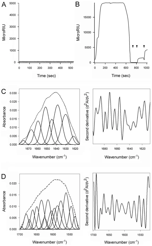 The chaperone activity of PDI is required for disassembly of the CT holotoxin.