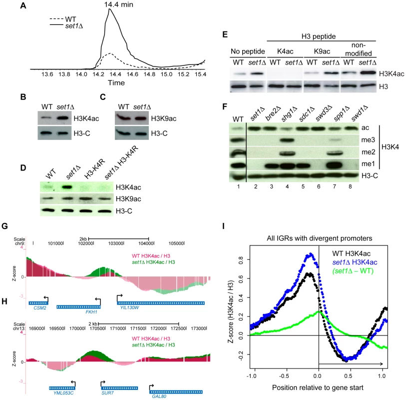 The COMPASS Complex Limits Global Levels of H3K4ac and Confines H3K4ac Localisation to Promoter Regions.