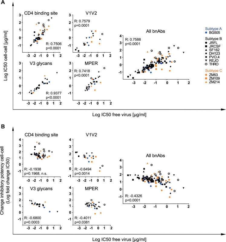 Differential loss in cell-cell neutralization across bnAb classes.
