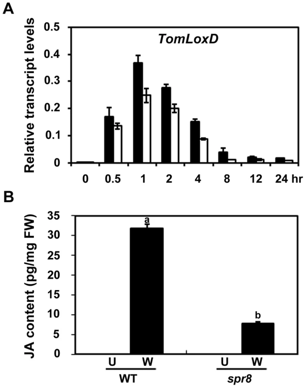 <i>spr8</i> impairs wound-induced JA biosynthesis.