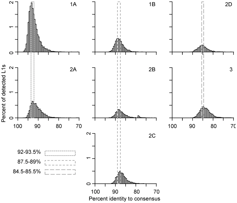 Persistence of concurrently active L1 families.