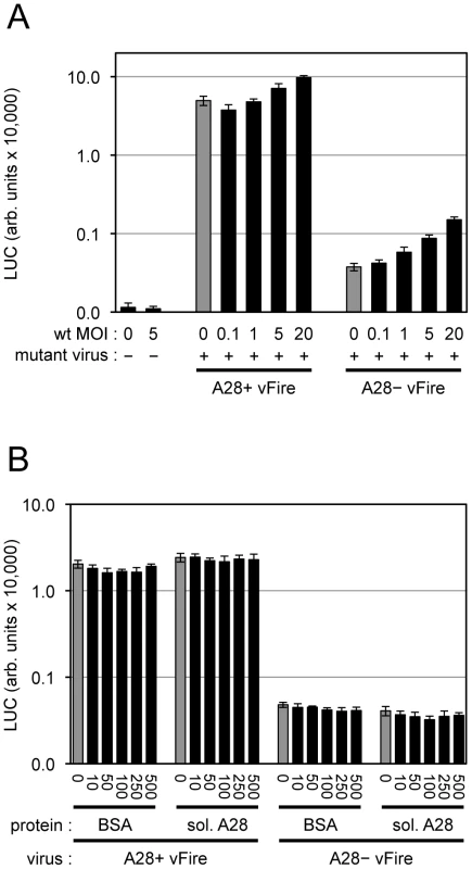 Attempt to trans-complement entry of virions lacking A28.