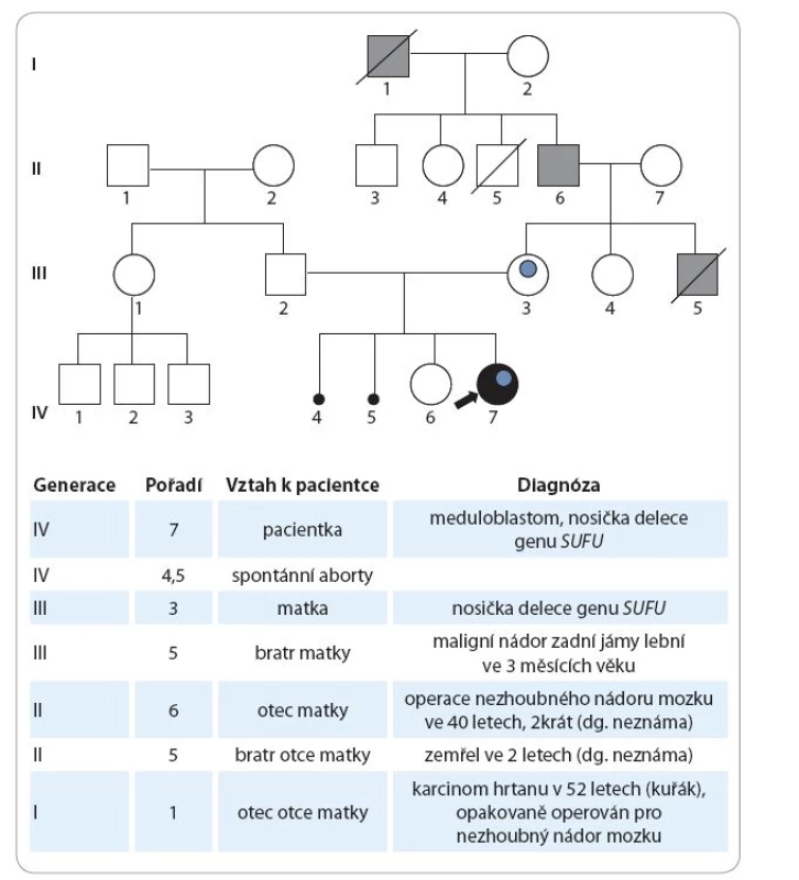 Genealogické schéma.