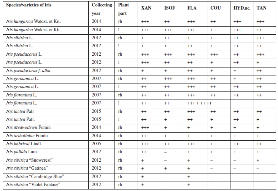 Qualitative analysis of BAS in the leaves and rhizomes of Irises