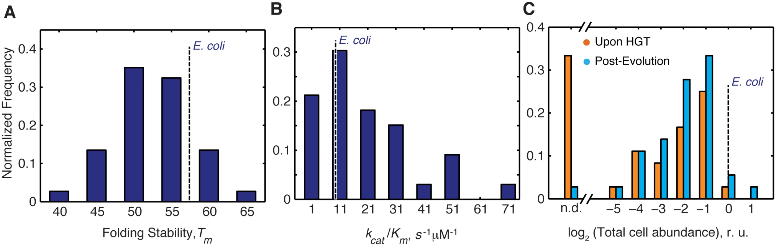 Distribution of molecular and cellular properties of orthologous DHFRs.