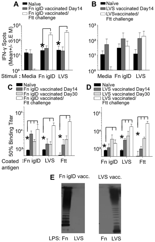 Cellular and humoral responses to <i>Francisella</i> spp. in vaccinated NHP.