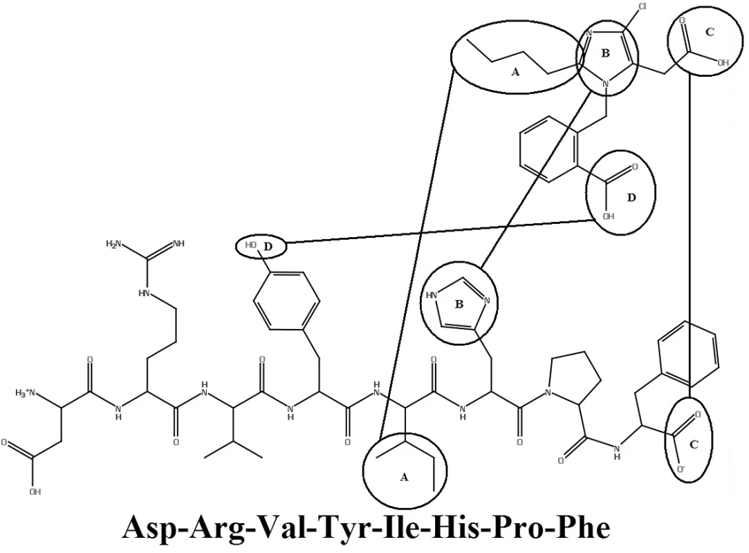 Prekrytie medzi ANG-II a EXP 6155<sup>19)</sup>