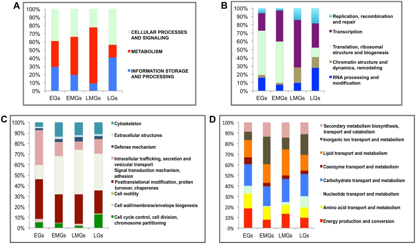 Functional group enrichment analysis of EGs, EMGs, LMGs and LGs.