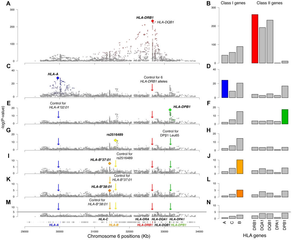 Association plots for the analyzed variants and HLA genes.