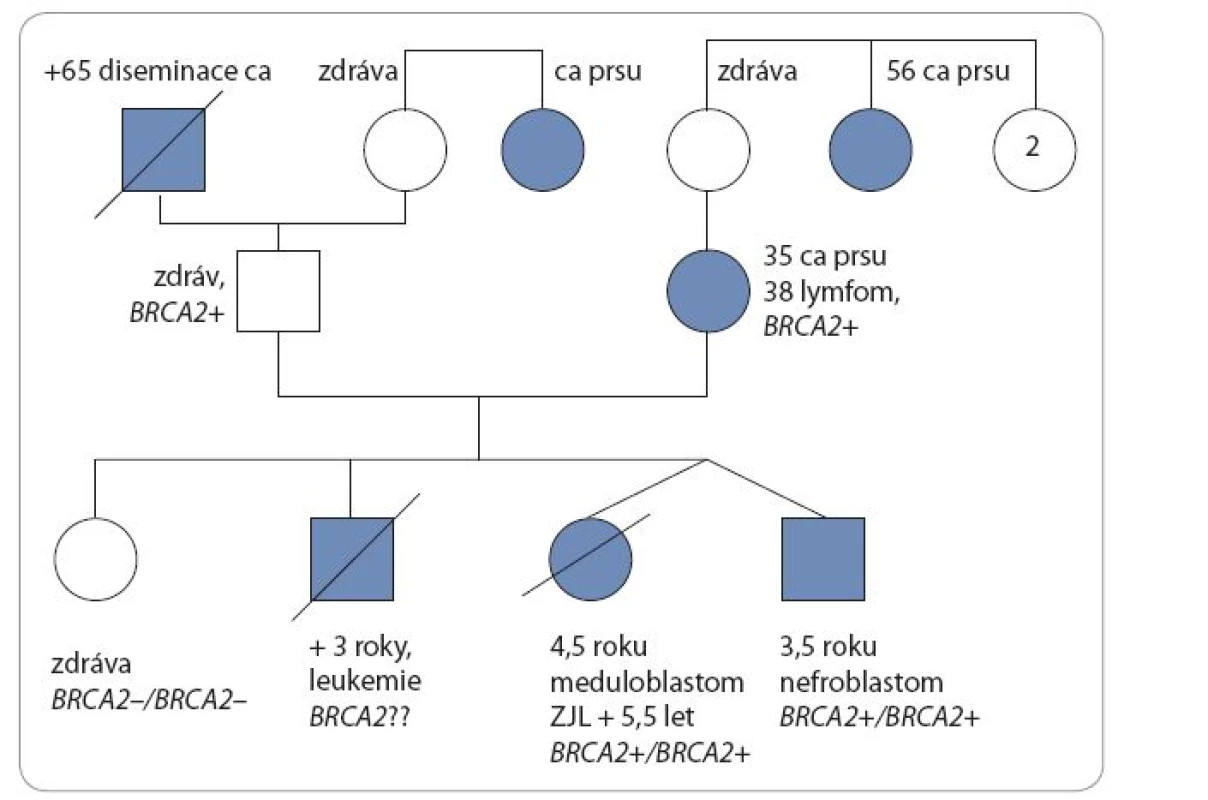 Rodokmen rodiny s bialelickou mutací genu <em>BRCA2</em>.